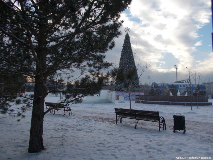 Январские прогулки. 2022 год (фото 7)