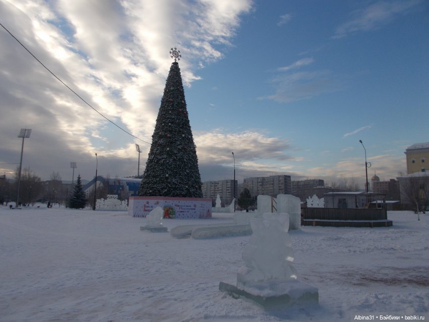 Январские прогулки. 2022 год (фото 6)
