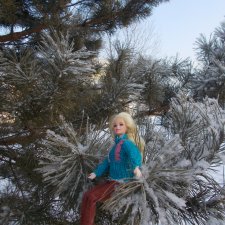 Январские прогулки. 2022 год