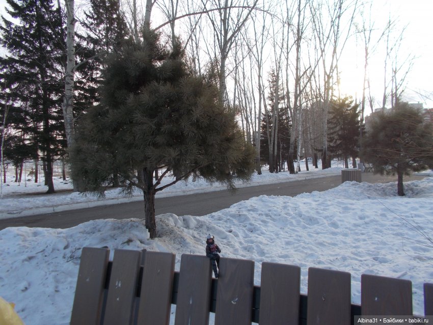 В парке с громким названием Озеро-парк (фото 8)