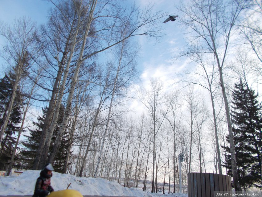 В парке с громким названием Озеро-парк (фото 5)