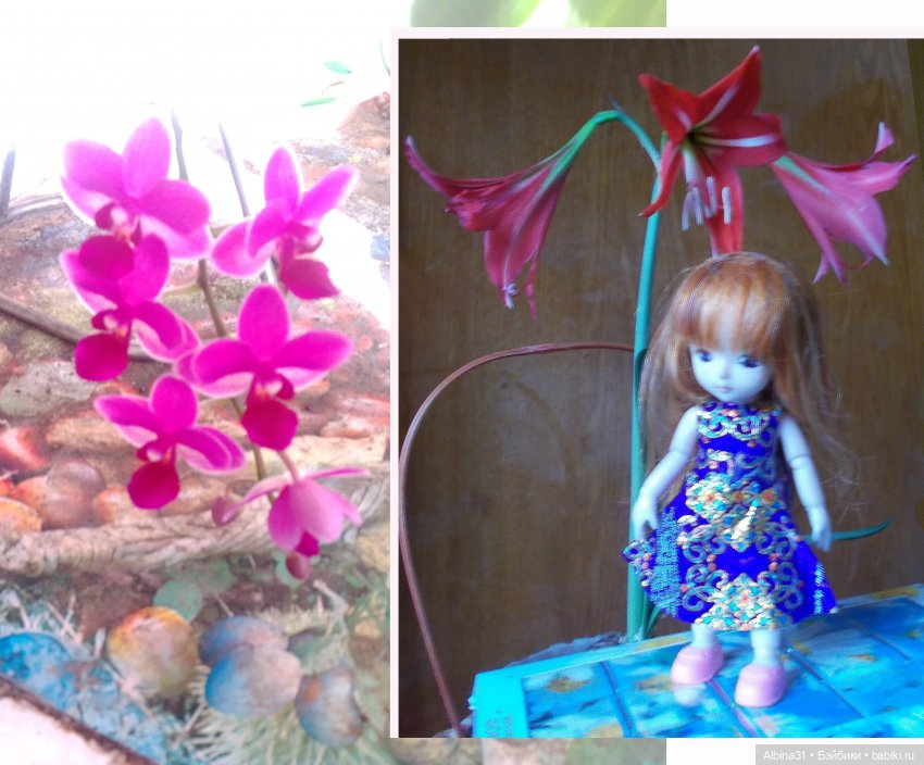 Немного баболи — Куклы Baboliy (Баболи (фото 7)