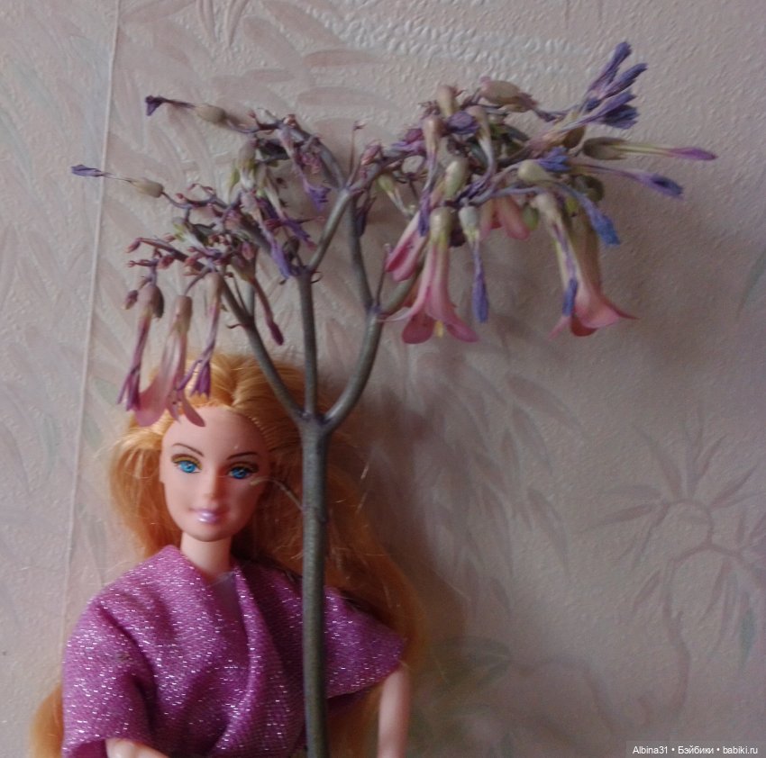 Хороши в лесу весной цветочки (фото 10)