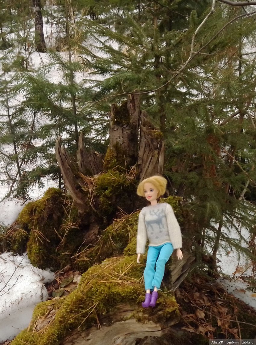 Чуть чуть леса — Игровые куклы разных производителей (Разное): редкие бренды (фото 5)