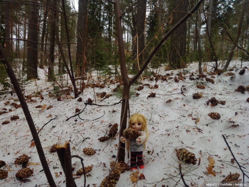 Чуть чуть леса — Игровые куклы разных производителей (Разное): редкие бренды (фото 7)