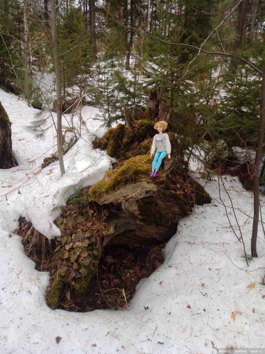 Чуть чуть леса — Игровые куклы разных производителей (Разное): редкие бренды (фото 6)