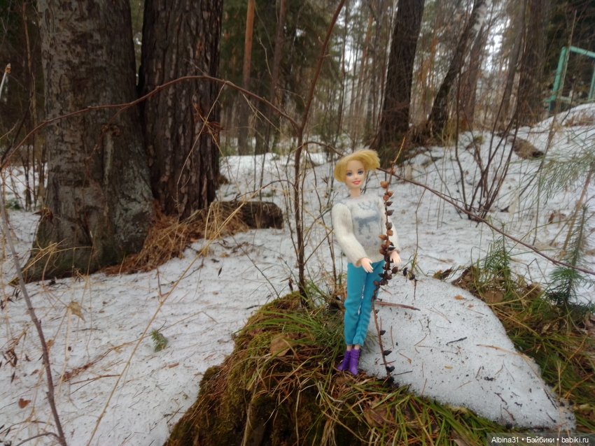 Чуть чуть леса — Игровые куклы разных производителей (Разное): редкие бренды