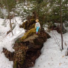 Чуть чуть леса...