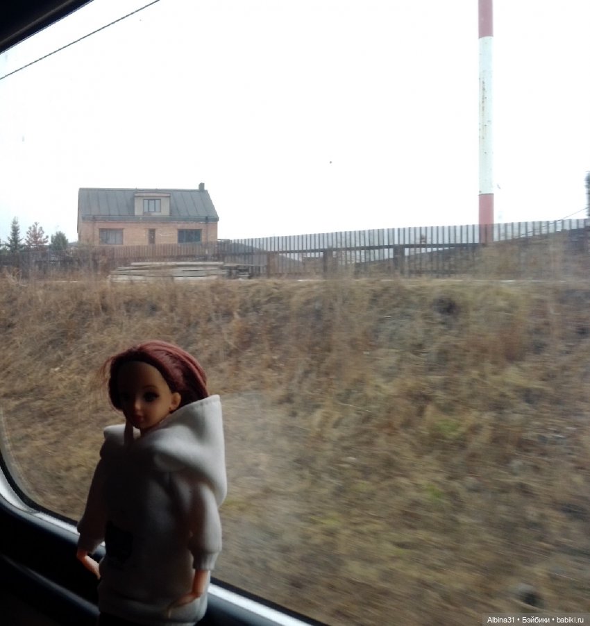 Мы едем, ... Виды из окна