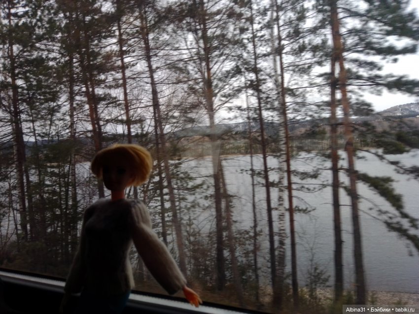 Мы едем, ... Виды из окна