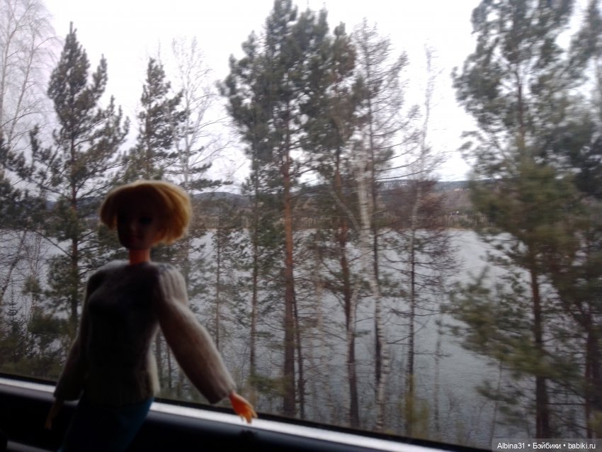 Мы едем, ... Виды из окна