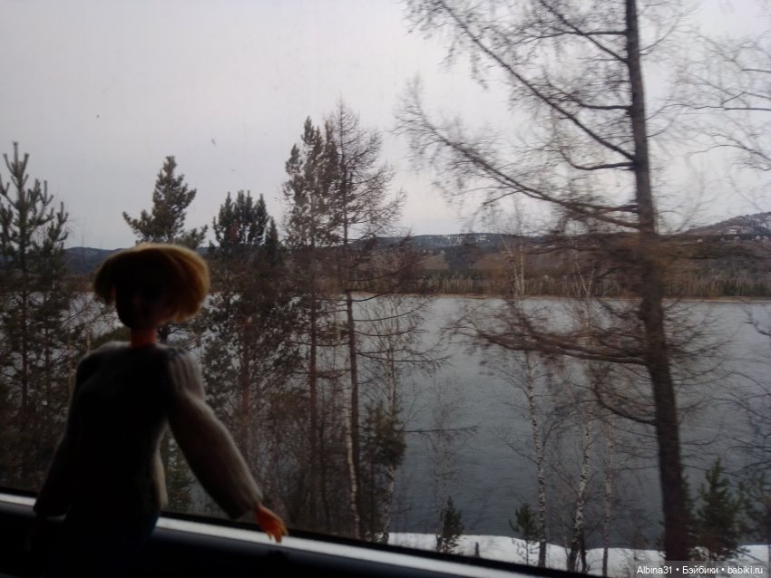 Мы едем, ... Виды из окна