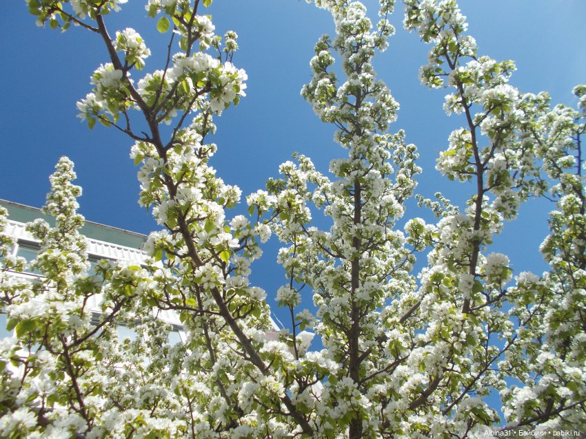 Сто одёжек без застёжек. Фантики