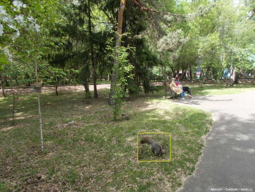 Немного Центрального парка. Городские зарисовки май 2022 (фото 7)