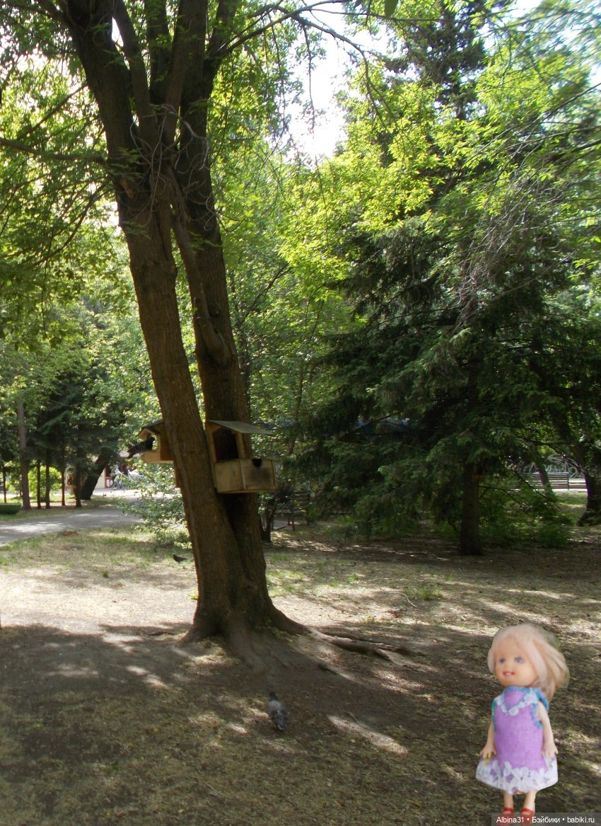 Немного Центрального парка. Городские зарисовки май 2022 (фото 5)
