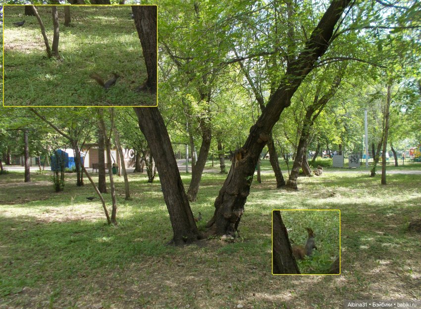 Немного Центрального парка. Городские зарисовки май 2022 (фото 8)