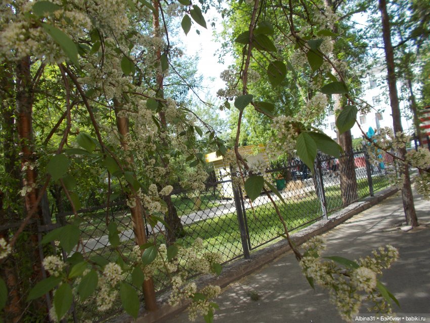 Немного Центрального парка. Городские зарисовки май 2022