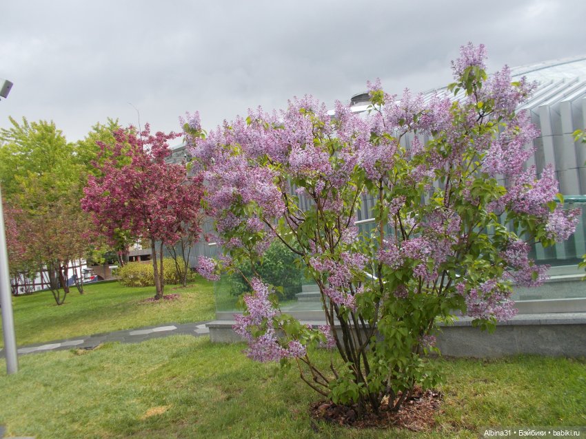 Москва май 2022 — Игровые куклы разных производителей (Разное): редкие бренды