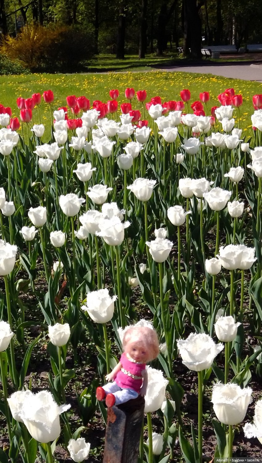 Весна в Питере — Игровые куклы разных производителей (Разное): редкие бренды