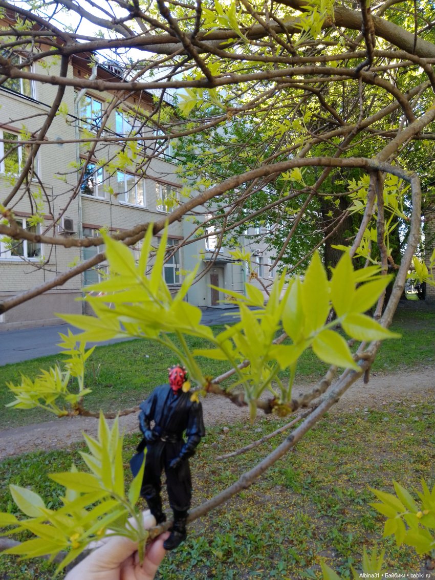 Весна в Питере — Игровые куклы разных производителей (Разное): редкие бренды