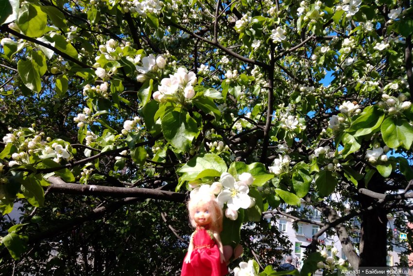 Весна в Питере — Игровые куклы разных производителей (Разное): редкие бренды (фото 8)