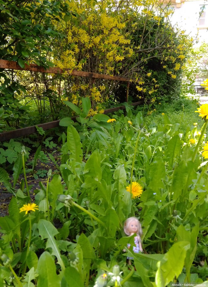 Весна в Питере — Игровые куклы разных производителей (Разное): редкие бренды (фото 4)