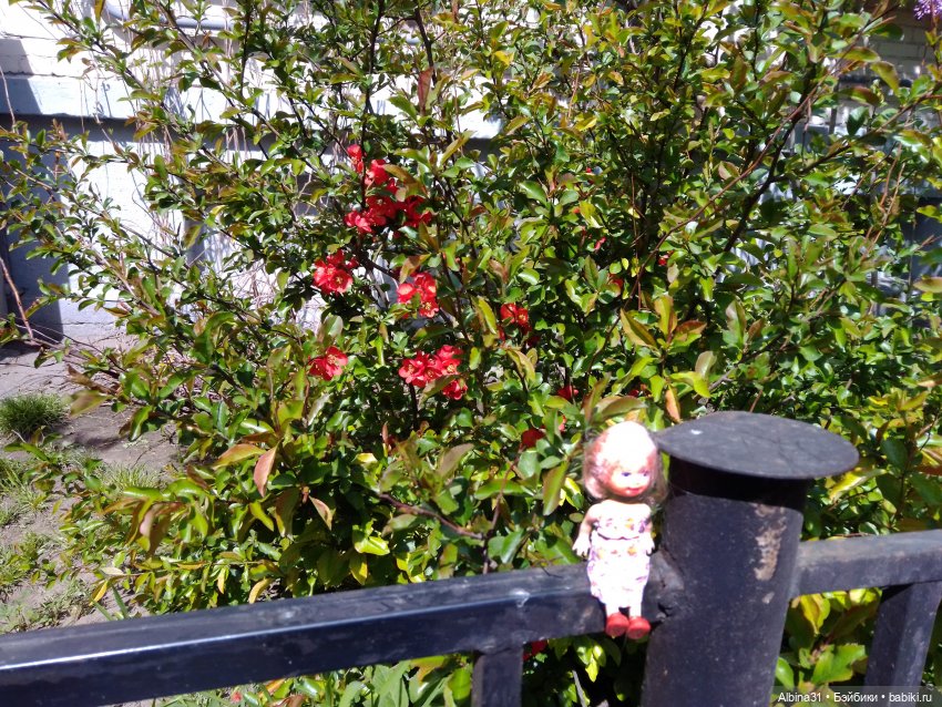 Весна в Питере — Игровые куклы разных производителей (Разное): редкие бренды (фото 5)