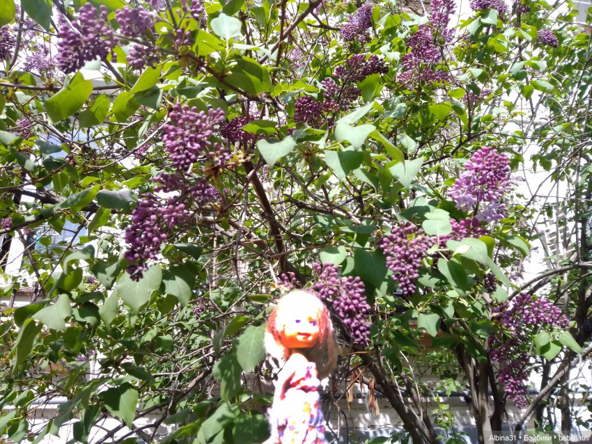 Весна в Питере — Игровые куклы разных производителей (Разное): редкие бренды (фото 6)