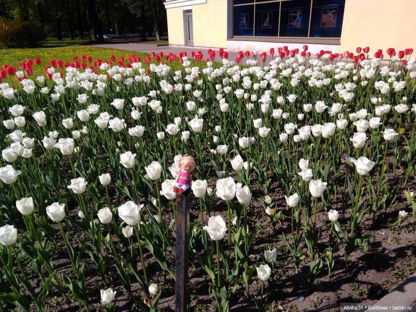 Весна в Питере — Игровые куклы разных производителей (Разное): редкие бренды