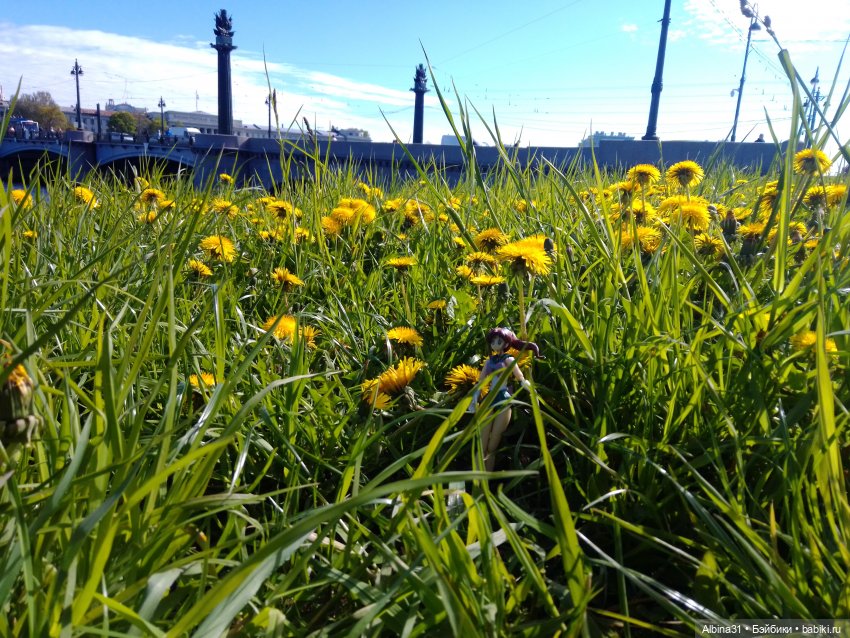 Весна в Питере — Игровые куклы разных производителей (Разное): редкие бренды