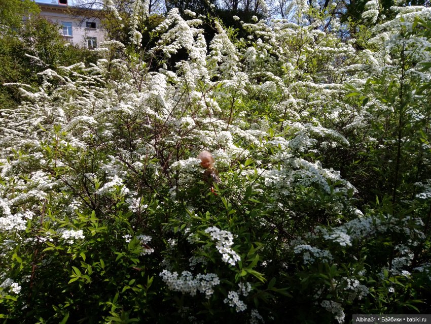 Весна в Питере — Игровые куклы разных производителей (Разное): редкие бренды (фото 3)