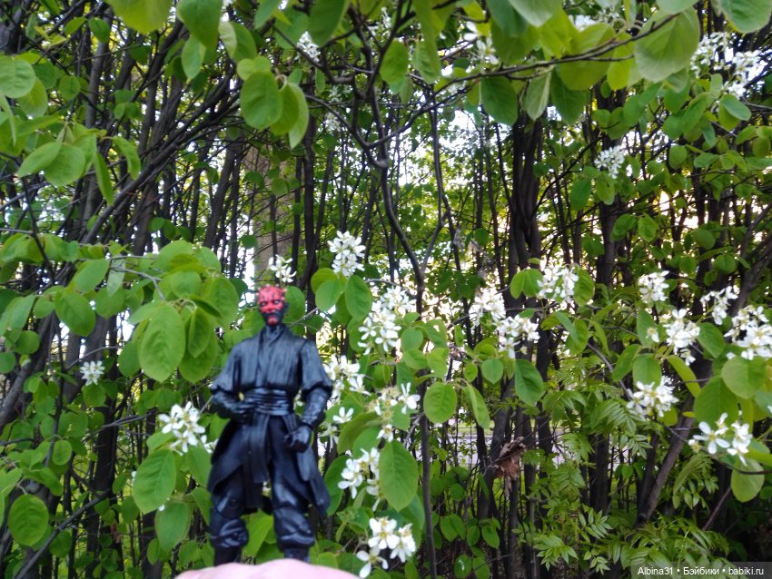 Весна в Питере — Игровые куклы разных производителей (Разное): редкие бренды (фото 10)