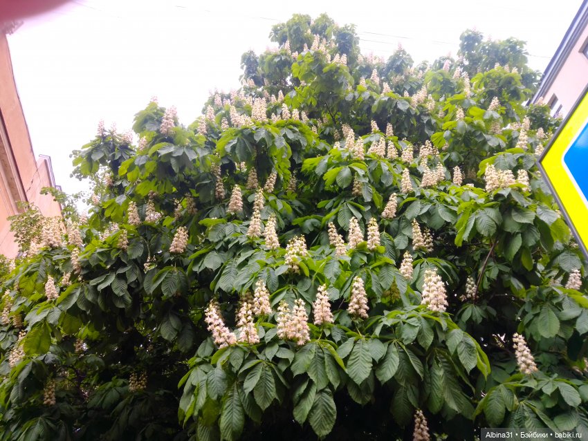 Весна в Питере — Игровые куклы разных производителей (Разное): редкие бренды