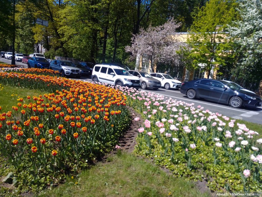 Весна в Питере — Игровые куклы разных производителей (Разное): редкие бренды