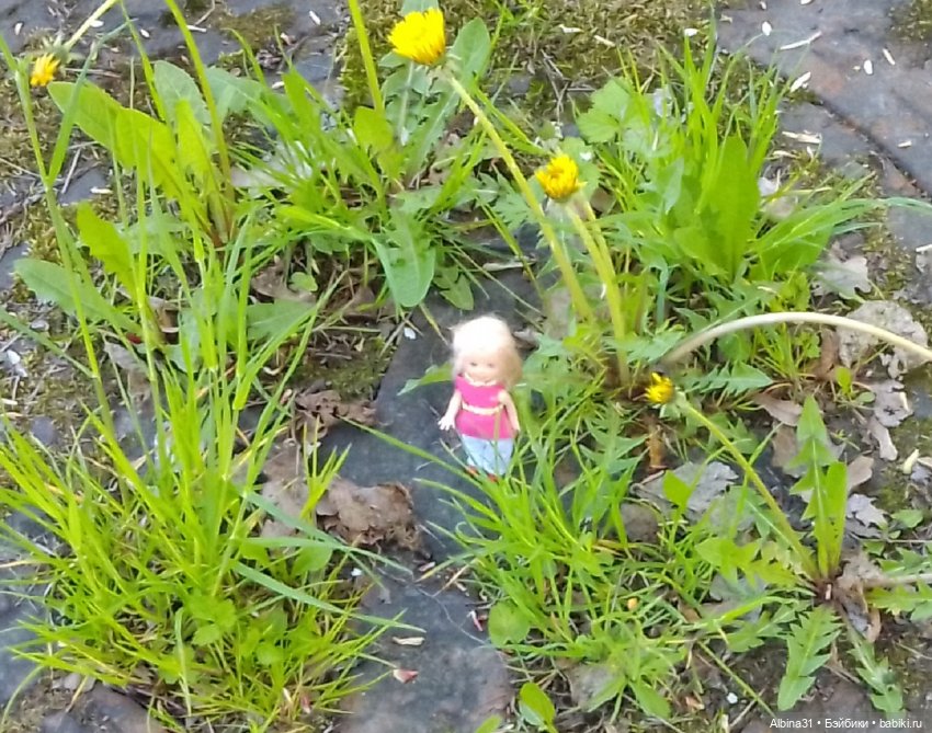 Весна в Питере — Игровые куклы разных производителей (Разное): редкие бренды