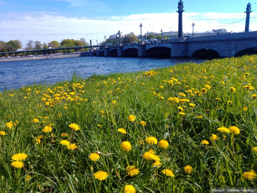 Весна в Питере — Игровые куклы разных производителей (Разное): редкие бренды