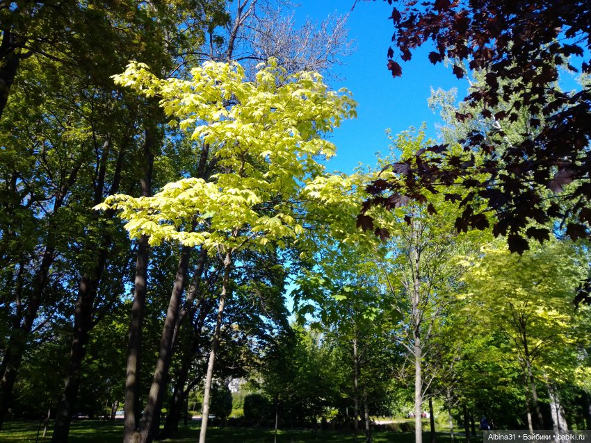 Май 2022 год. Поход на каменный остров (фото 5)