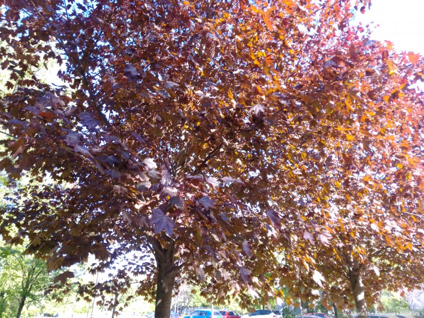 Май 2022 год. Поход на каменный остров (фото 4)