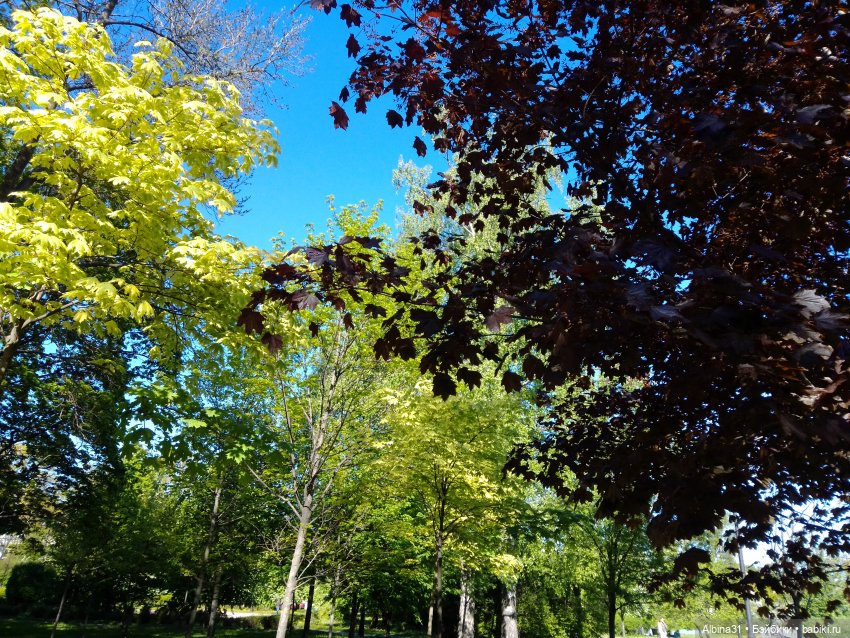 Май 2022 год. Поход на каменный остров (фото 3)