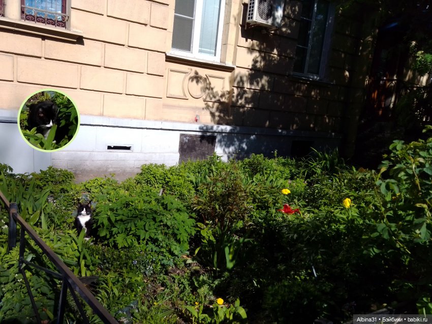 Питер май 2022 год, продолжение (2)