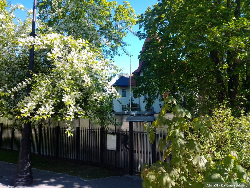 Май 2022 год. Поход на каменный остров