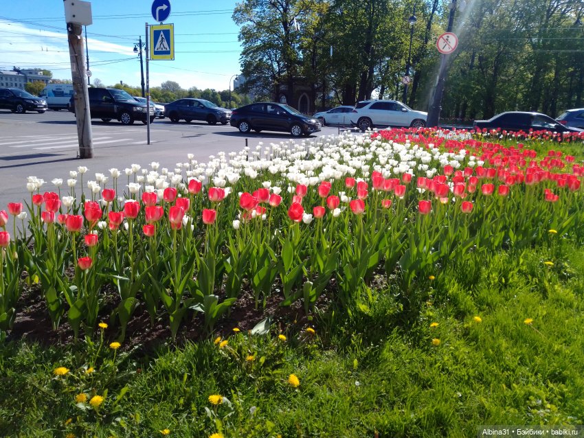 Май 2022 год. Поход на каменный остров