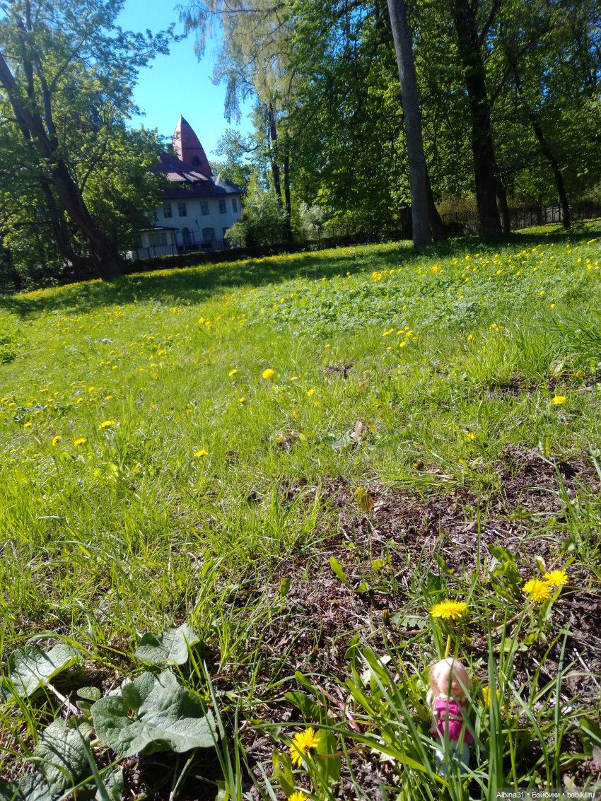 Май 2022 год. Поход на каменный остров