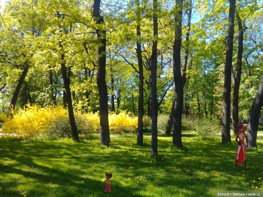 Май 2022 год. Поход на каменный остров