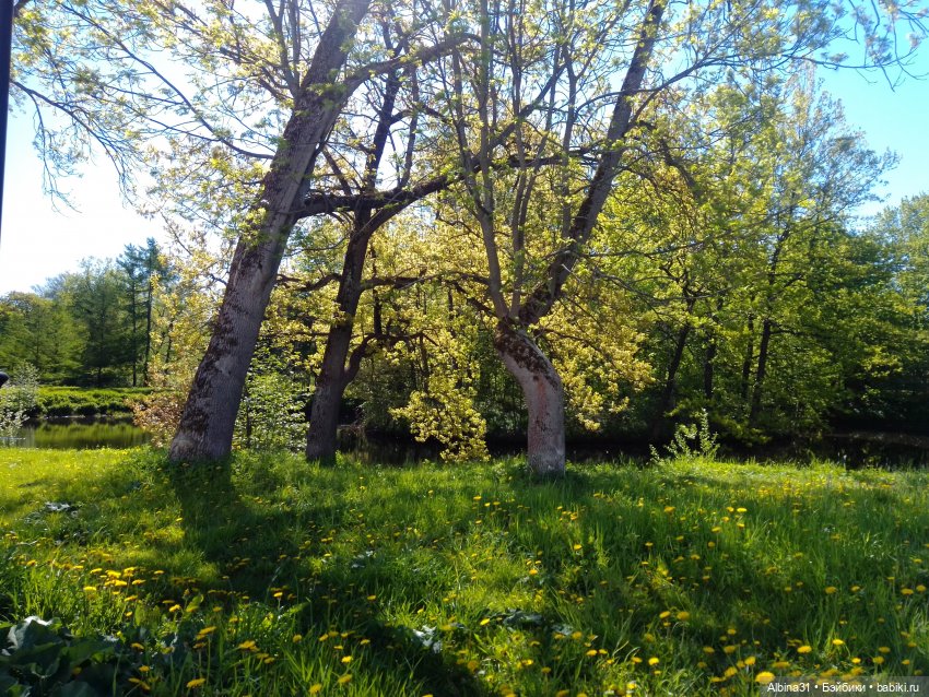 Май 2022 год. Поход на каменный остров