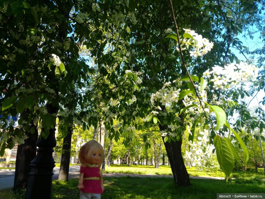 Май 2022 год. Поход на каменный остров