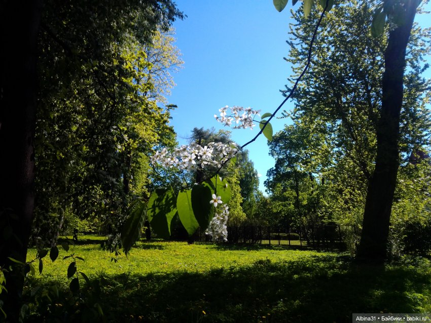 Май 2022 год. Поход на каменный остров