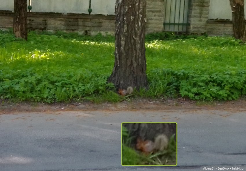 Май 2022 год. Поход на каменный остров