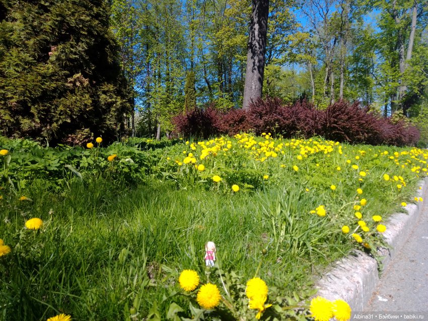 Май 2022 год. Поход на каменный остров