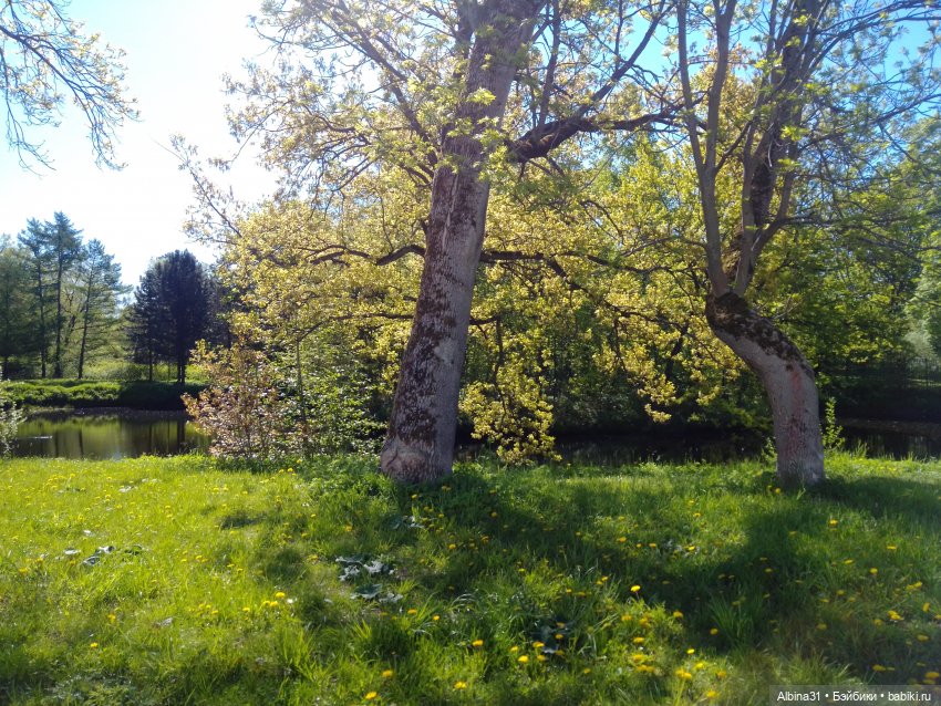 Май 2022 год. Поход на каменный остров